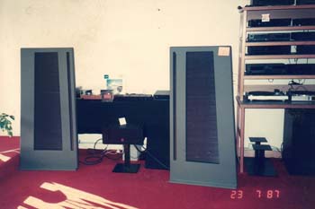 9ee_Shannon_Av_apegee